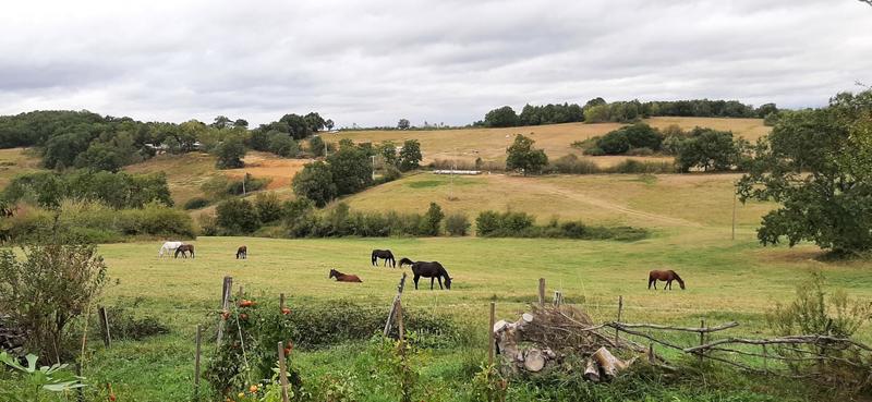Maison - 142 m² - 4 pièces