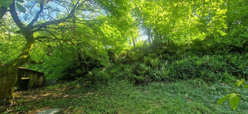 Maison - 90 m² - 3 pièces