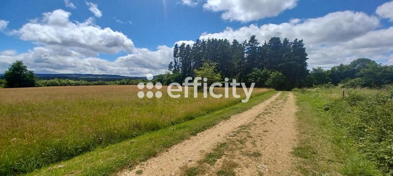 Terrain - 10 021 m²