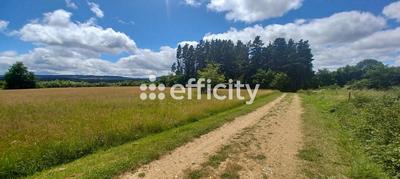 Terrain - 10 021 m²