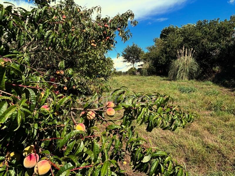 Terrain de loisirs - 8 400 m²