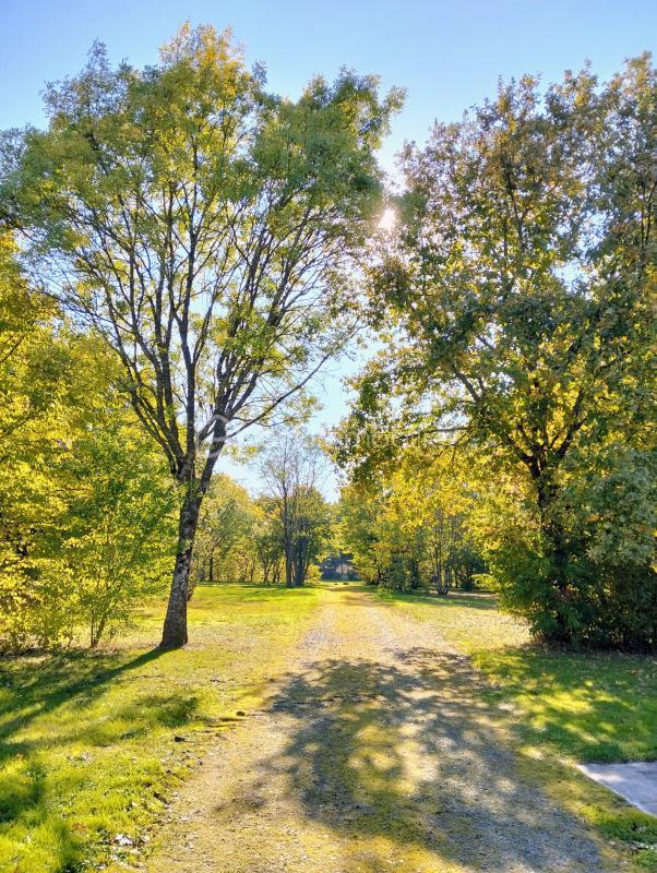 Propriété - 198 m² - 11 pièces