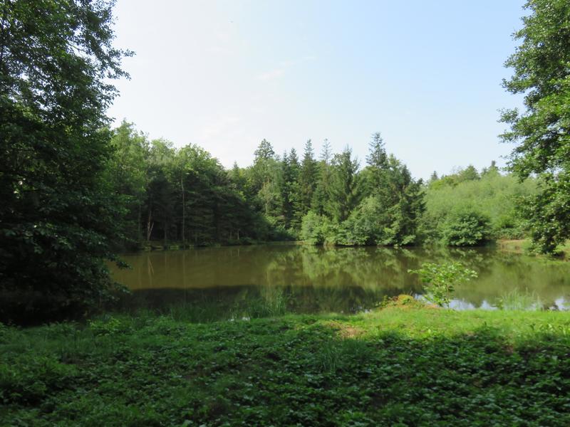 Terrain de loisirs - 4 560 m²