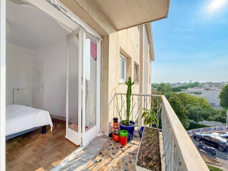 Appartement - 51 m² - 2 pièces