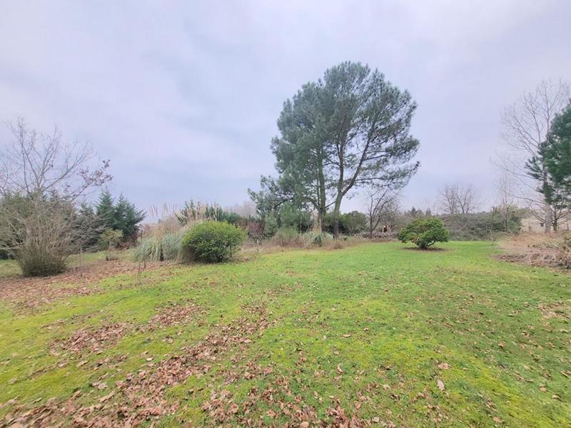 Terrain constructible - 3 099 m²