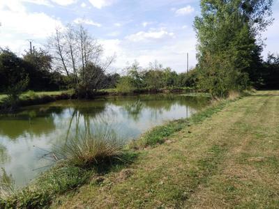 Terrain - 12 496 m²