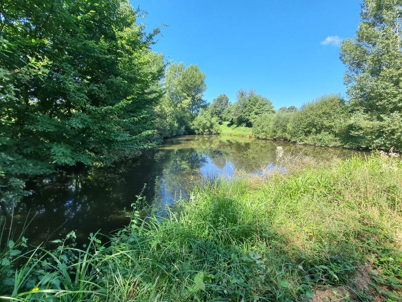 Terrain - 14 264 m²