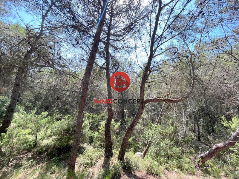 Terrain de loisirs - 14 950 m²