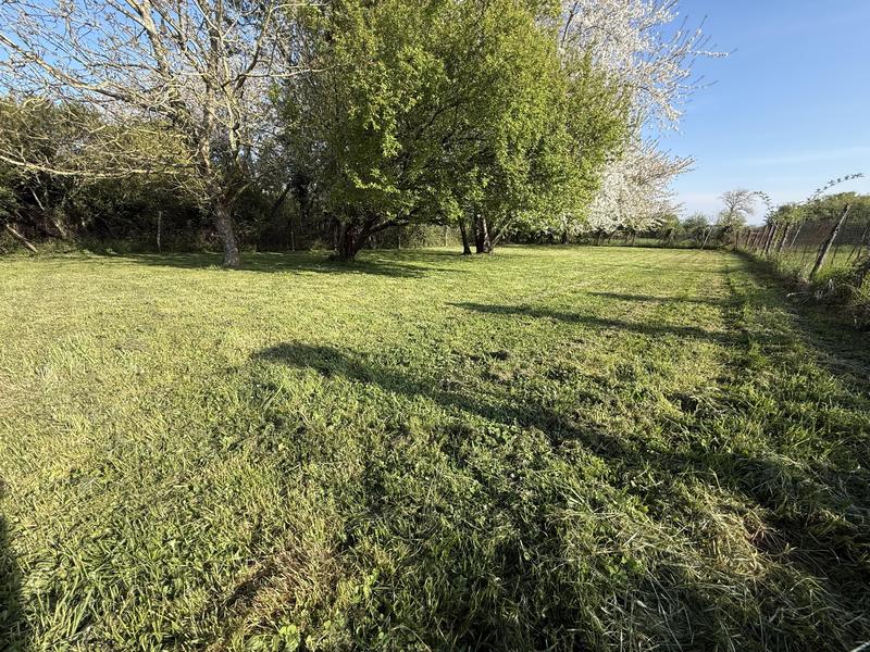 Terrain - 879 m²