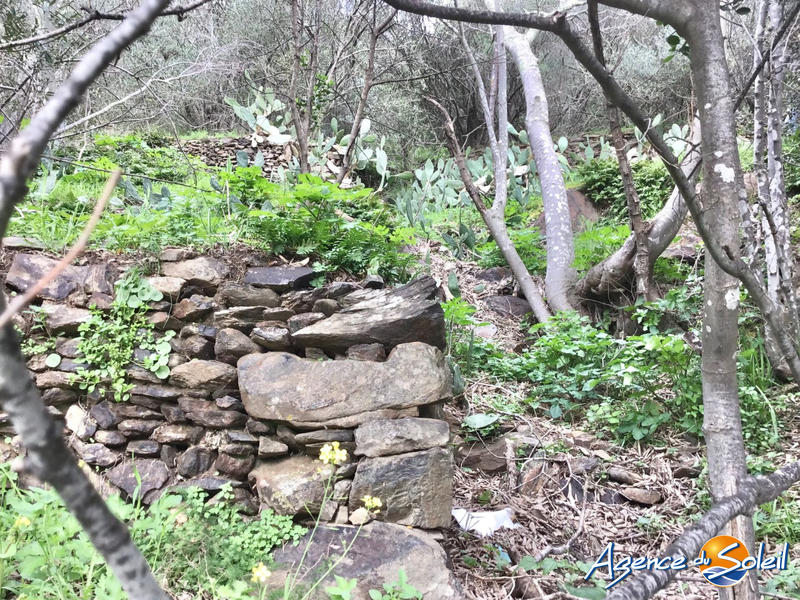 Terrain agricole - 4 000 m²