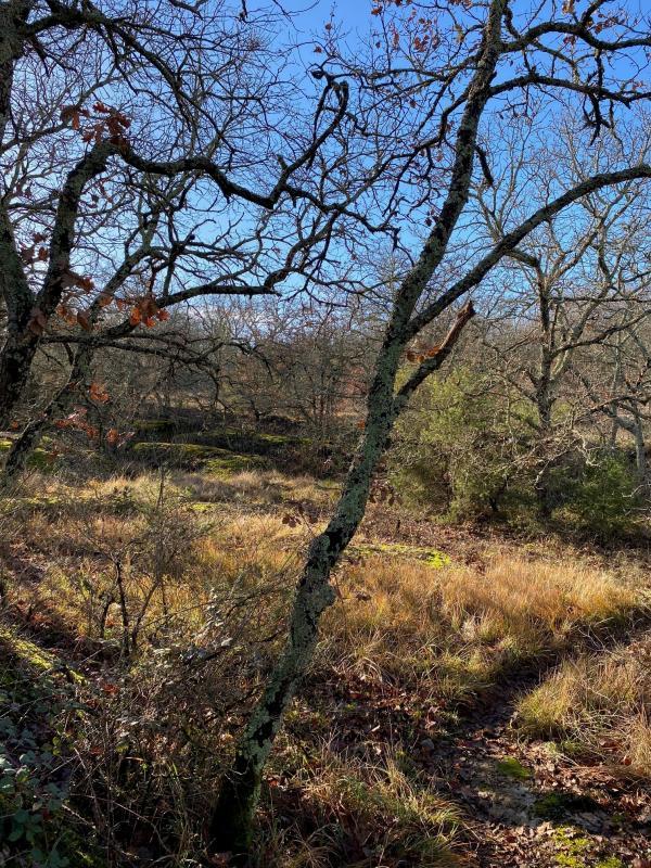 Terrain constructible - 488 m²