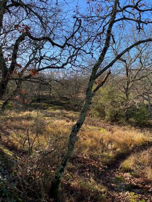 Terrain constructible - 488 m²