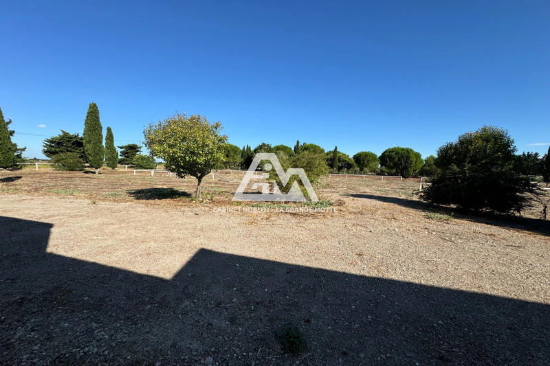 Terrain agricole - 11 000 m²