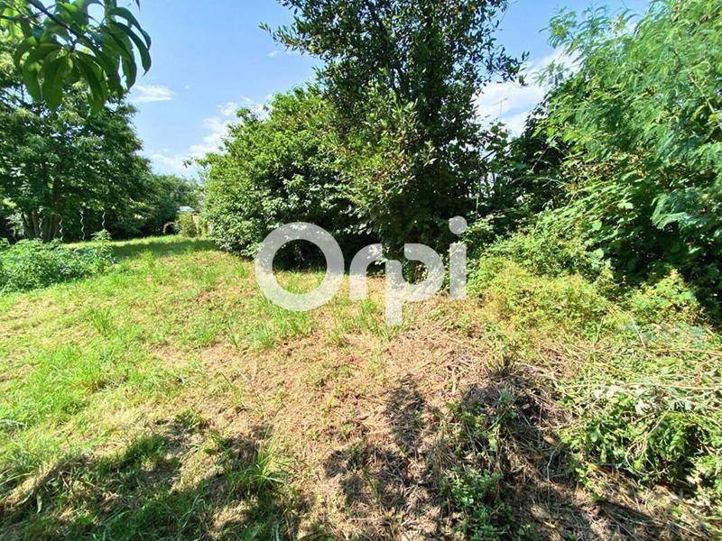 Maison - 64 m² - 3 pièces