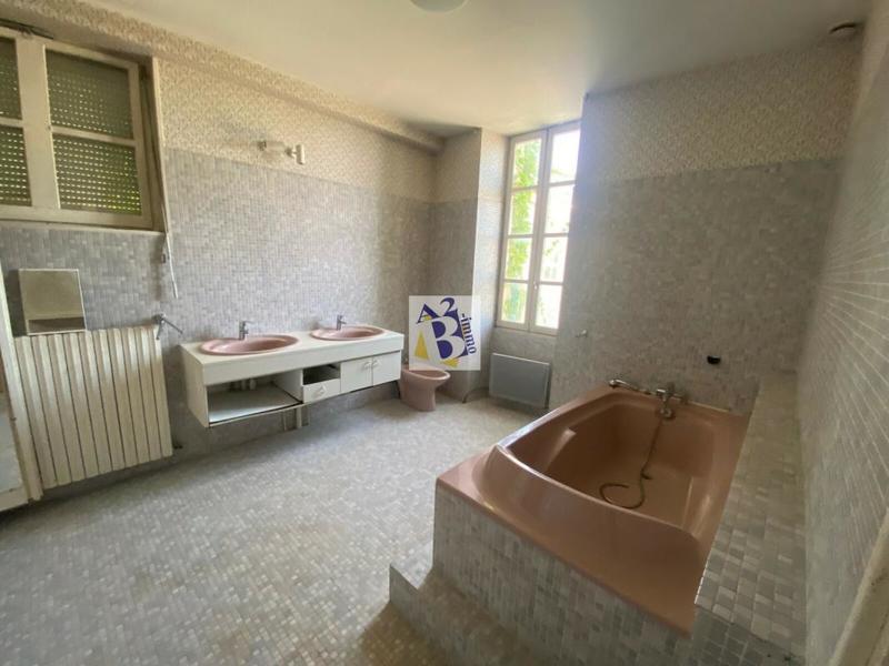 Hôtel particulier - 330 m² - 10 pièces