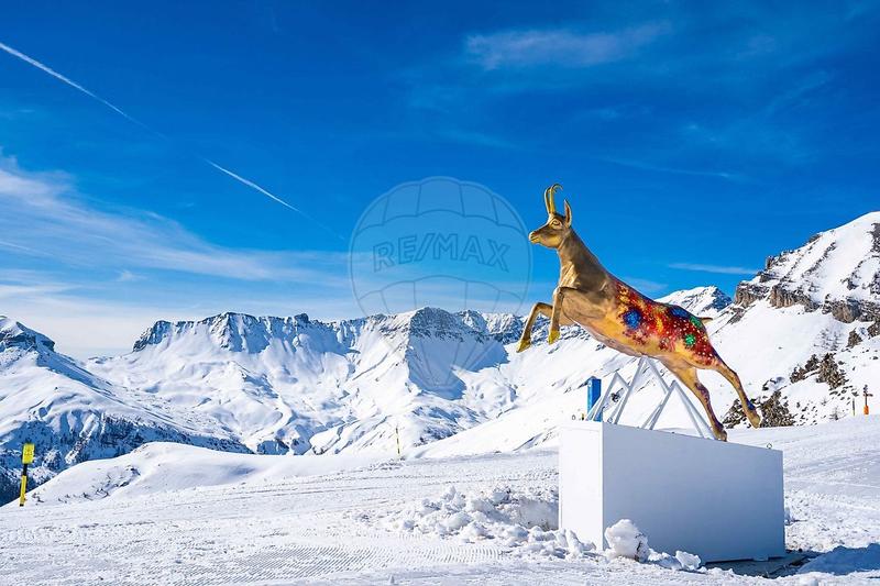 Appartement - 21 m² - 1 pièce