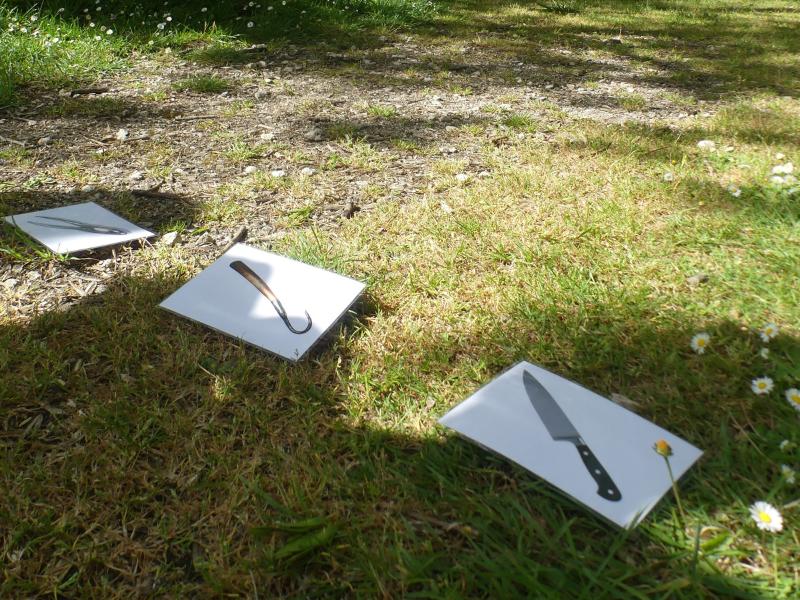 Escape game nature à Terres d'Oiseaux