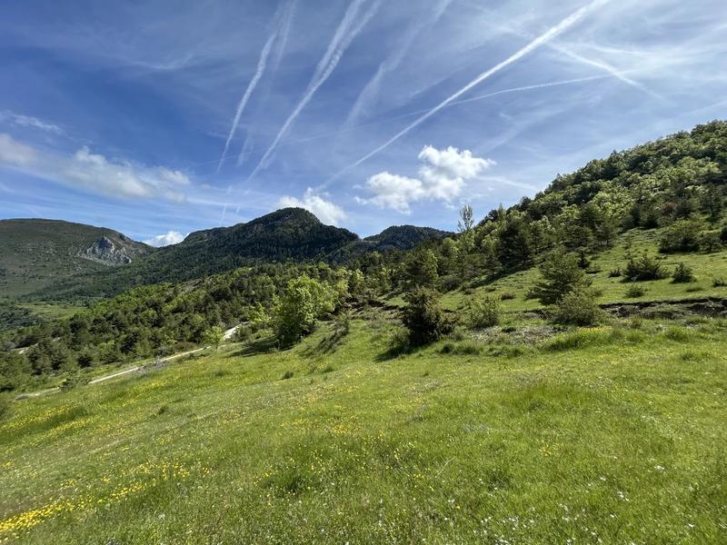 Maison - 195 m² - 8 pièces