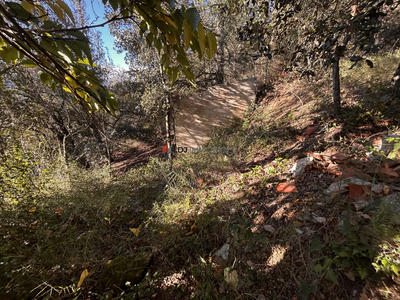 Terrain agricole - 646 m²