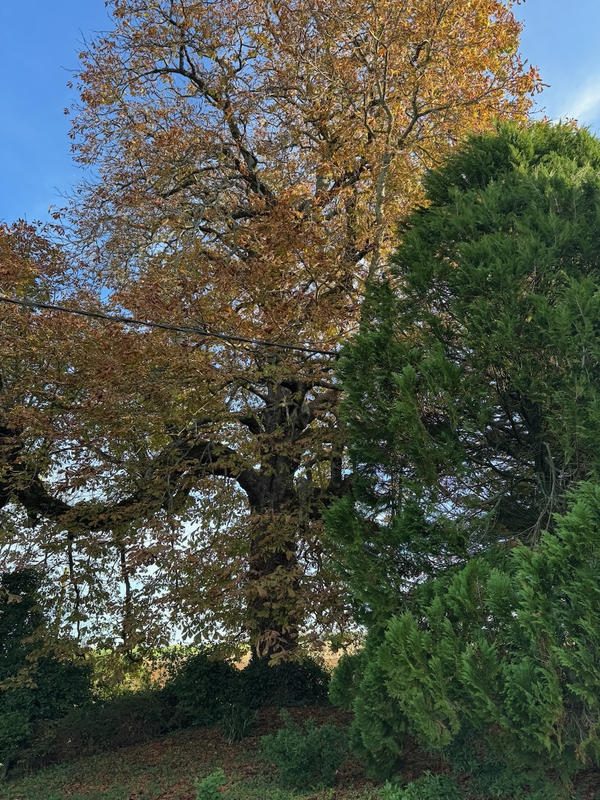 Maison - 200 m² - 4 pièces