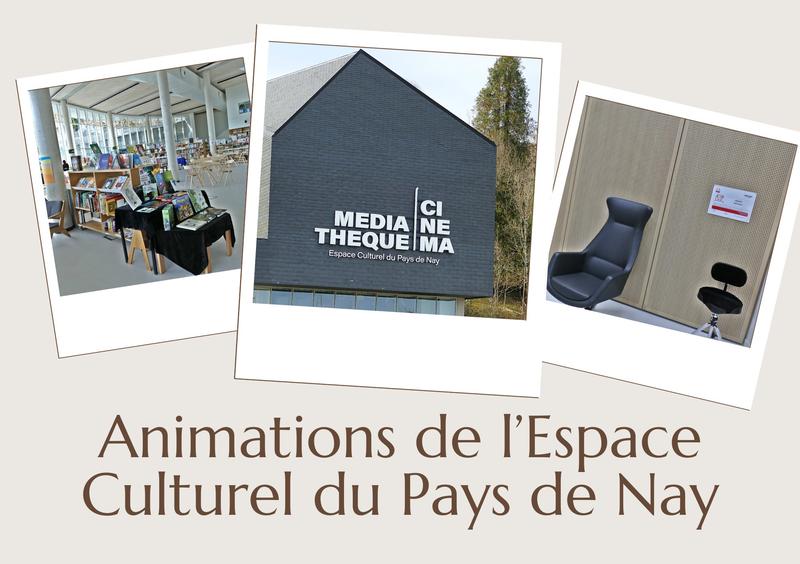 Le monde magique des Playmobil