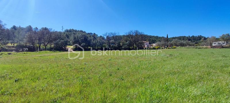 Terrain - 2 341 m²