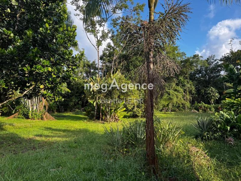 Terrain constructible - 1 560 m²