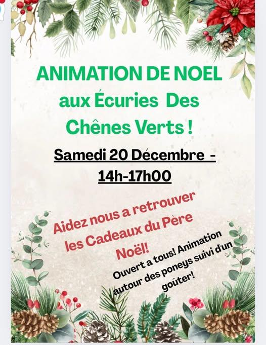 Animation de Noël aux Écuries des Chênes Verts
