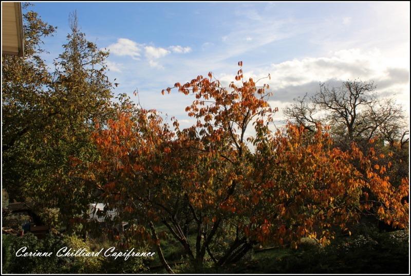 Maison de village - 128 m² - 4 pièces