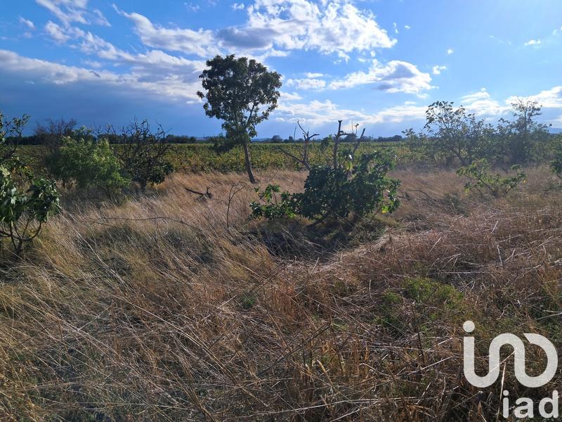 Terrain agricole - 29 000 m²