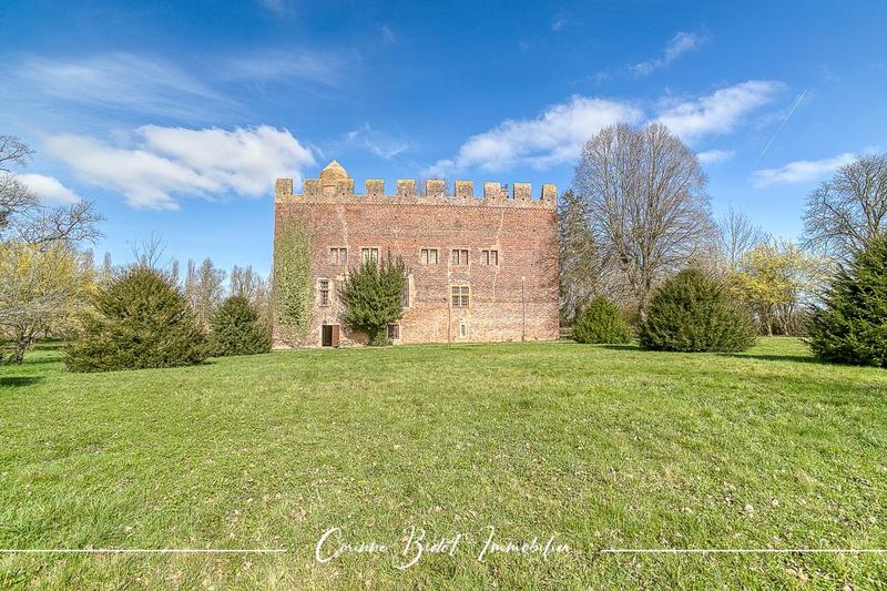 Château - 465 m² - 18 pièces