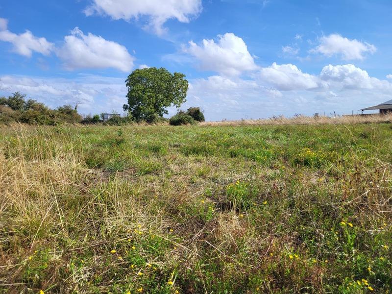 Terrain constructible - 1 624 m²