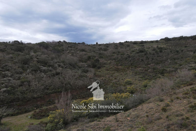 Terrain - 54 574 m²