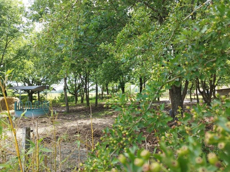 Propriété - 221 m² - 10 pièces