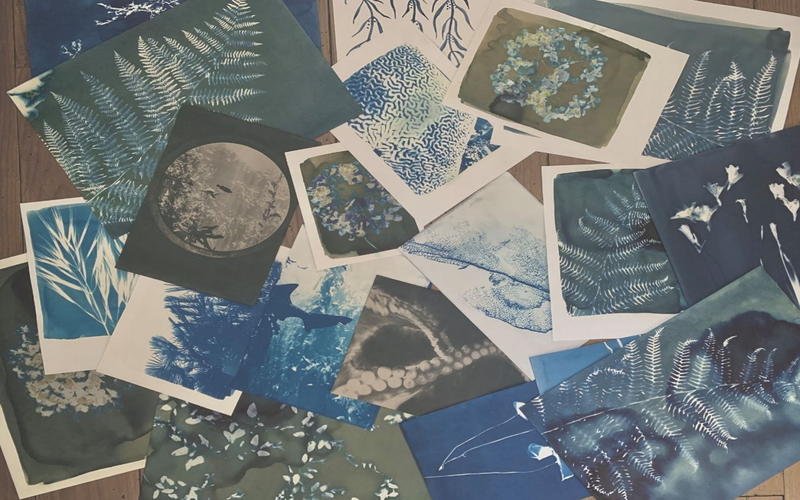 Ateliers Manufacture Pays Basque - Atelier cyanotype