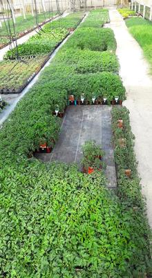 Les Serres de la Droude