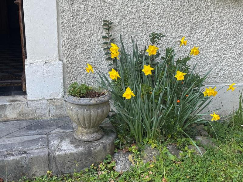 Maison de maîtres - 215 m² - 6 pièces