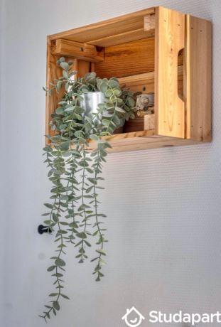 Appartement - 10 m² - 1 pièce