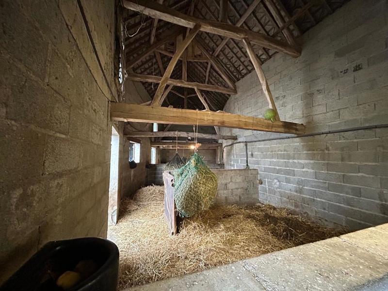 Maison de domaine équestre - 202 m² - 5 pièces