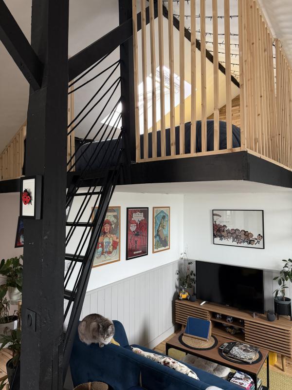 Appartement - 50 m² - 1 pièce