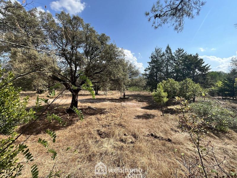 Maison - 181 m² - 9 pièces