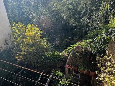 Appartement - 75 m² - 1 pièce