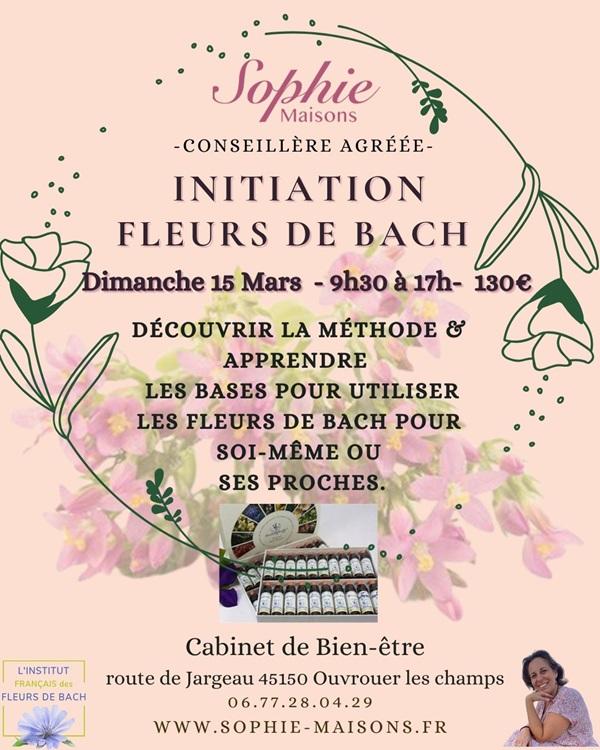 Initiation fleurs de Bach