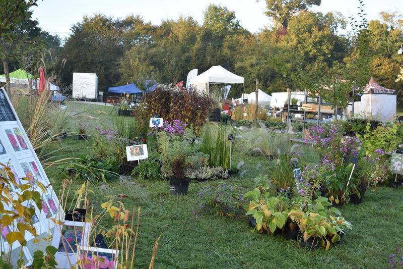 33e Florales du Petr du Pays du Ruffécois