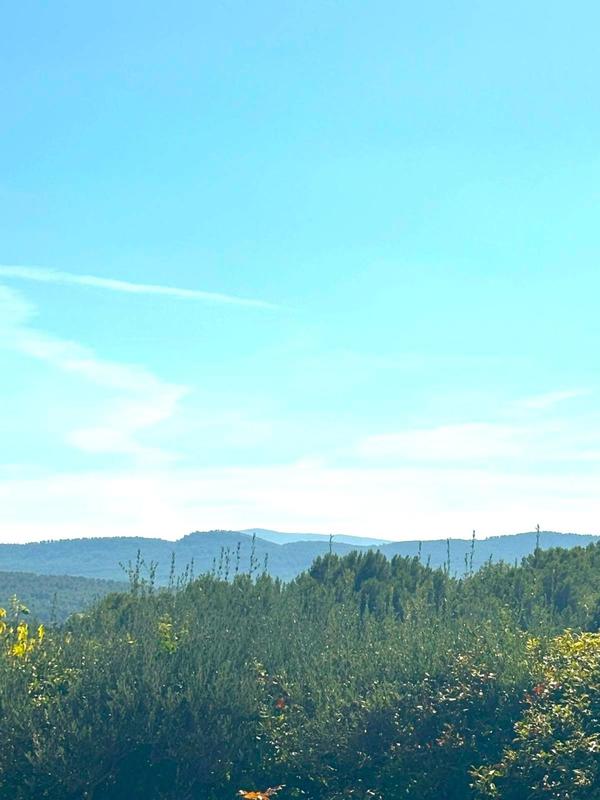 Maison - 134 m² - 5 pièces