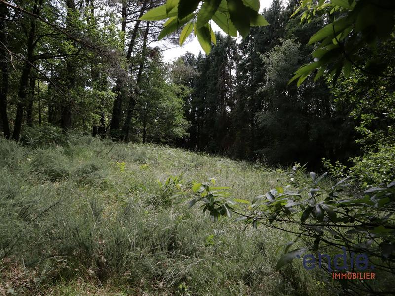 Maison - 43 m² - 1 pièce