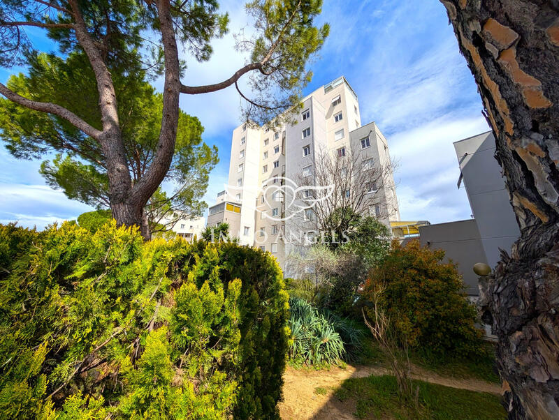 Appartement - 43 m² - 2 pièces