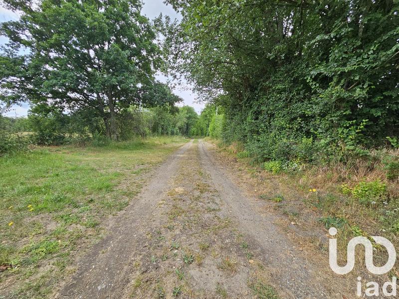 Maison de campagne - 110 m² - 4 pièces