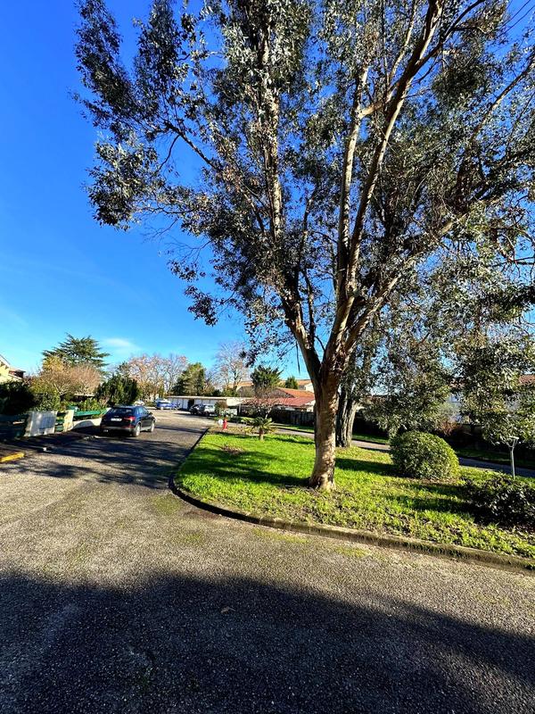 Viager - Appartement - 102 m² - 5 pièces