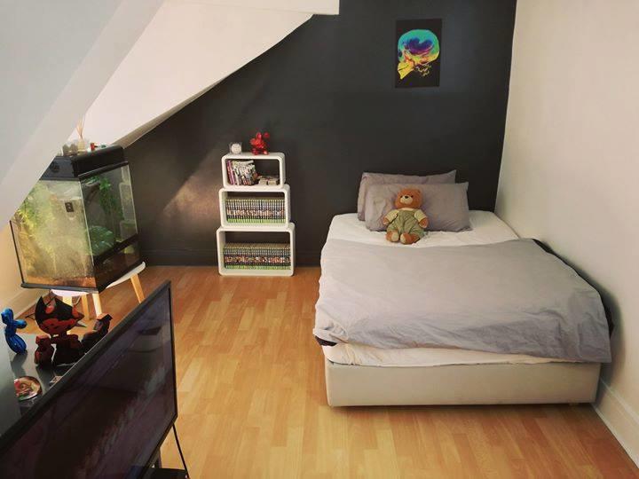 Studio - 25 m² - 1 pièce